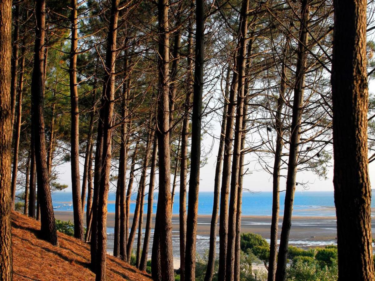 Maison Moderne Pres Plage Aiguillon - 2 Chambres, Terrasse, Jardin, Parking - Calme Et Confort - Fr-1-420-63 Arcachon Exterior foto